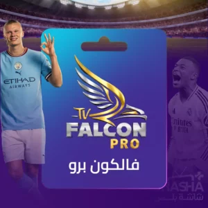 اشتراك فالكون سنه - ضمان ذهبي